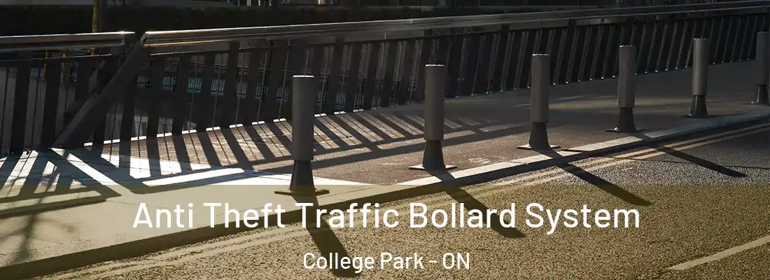  Anti Theft Traffic Bollard System College Park - ON