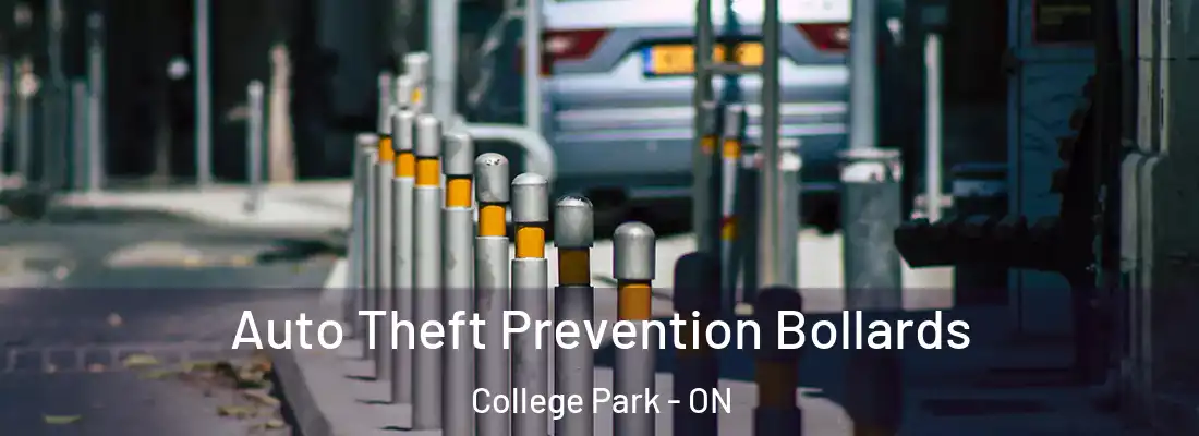  Auto Theft Prevention Bollards College Park - ON