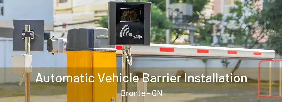  Automatic Vehicle Barrier Installation Bronte - ON