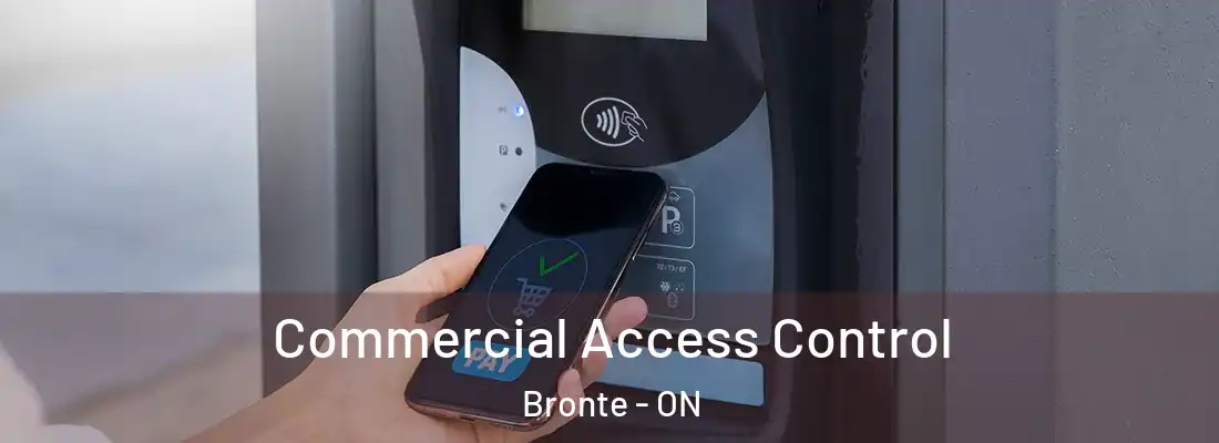  Commercial Access Control Bronte - ON
