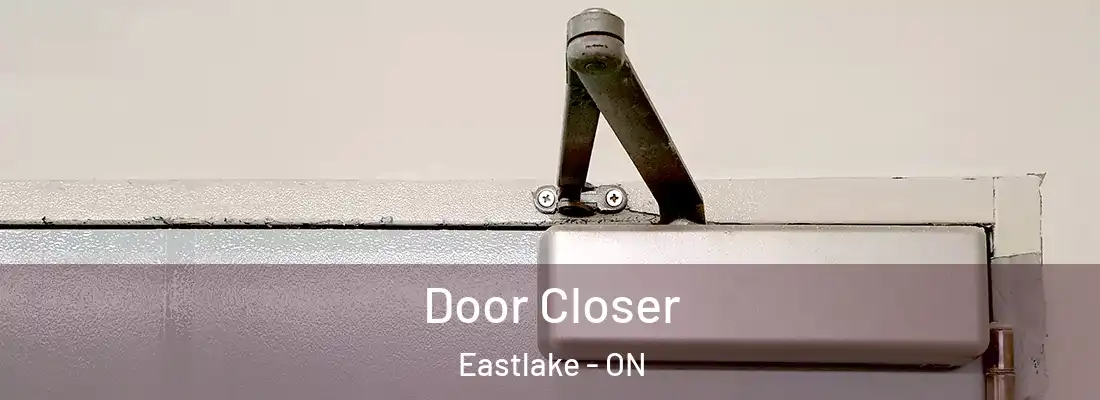  Door Closer Eastlake - ON