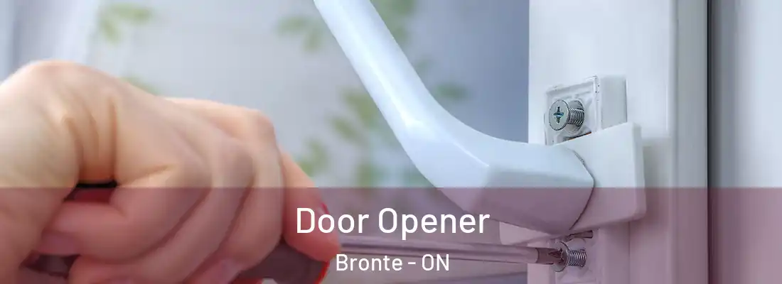  Door Opener Bronte - ON