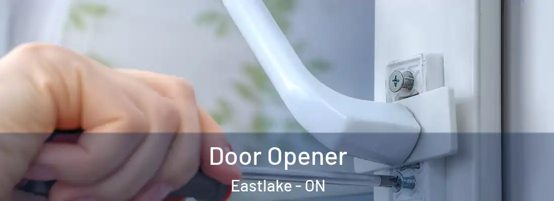  Door Opener Eastlake - ON