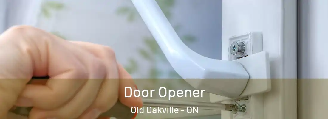  Door Opener Old Oakville - ON