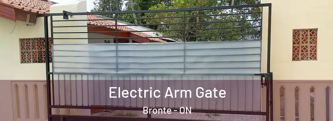  Electric Arm Gate Bronte - ON