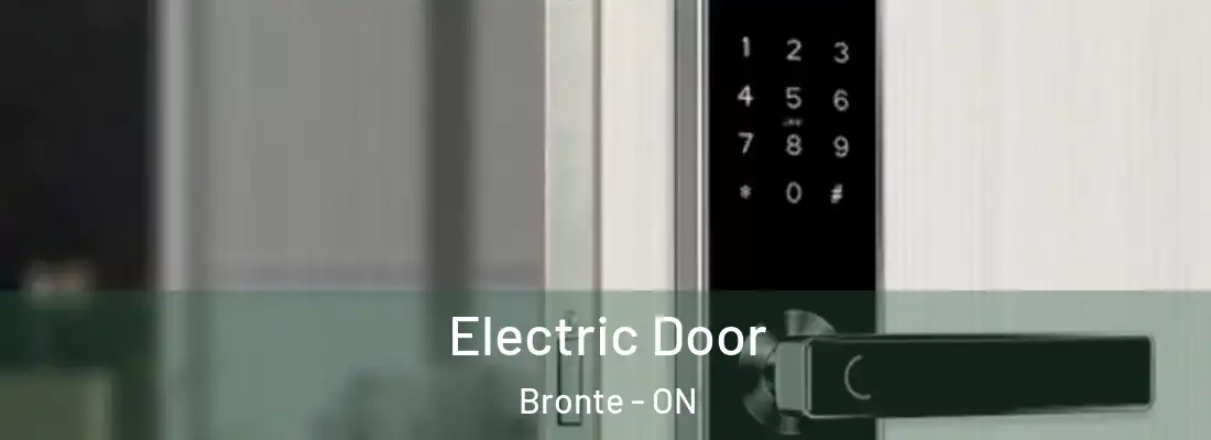  Electric Door Bronte - ON
