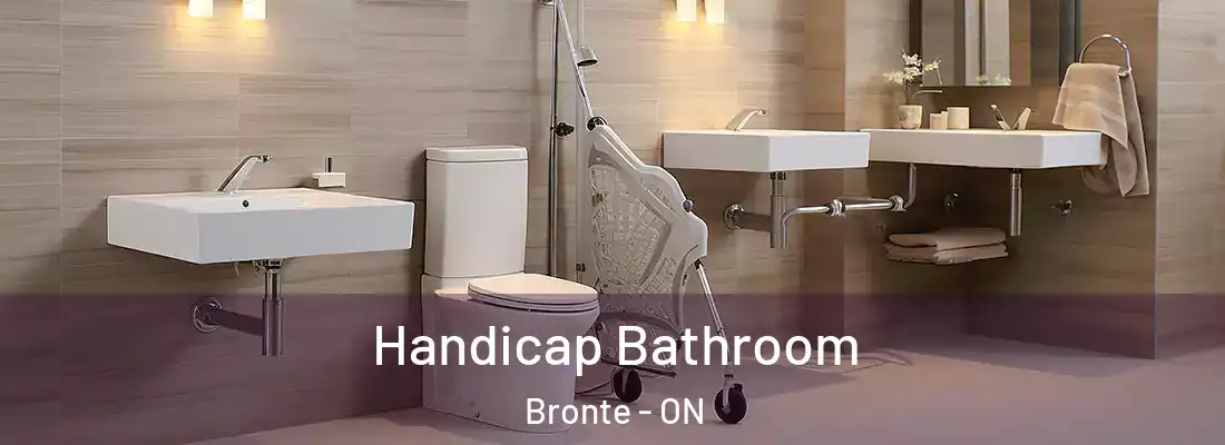  Handicap Bathroom Bronte - ON