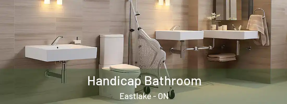  Handicap Bathroom Eastlake - ON