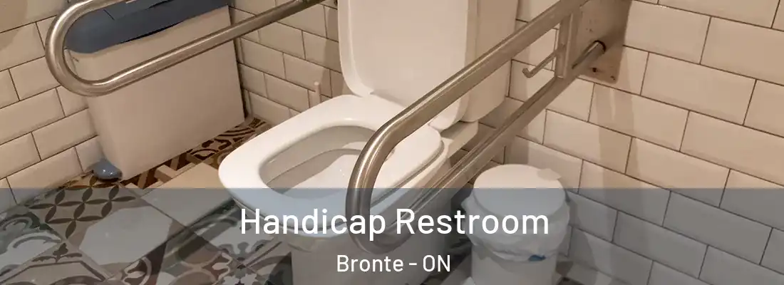  Handicap Restroom Bronte - ON