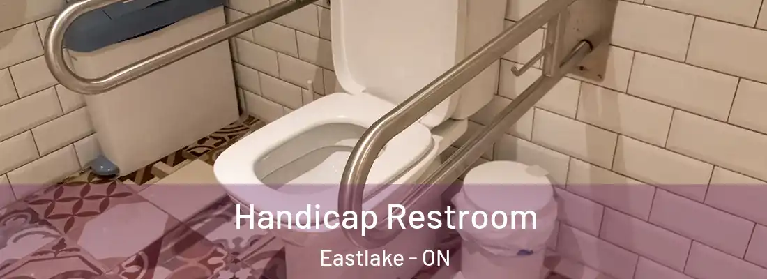  Handicap Restroom Eastlake - ON