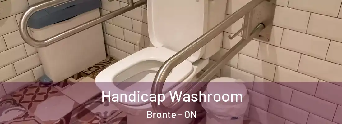  Handicap Washroom Bronte - ON