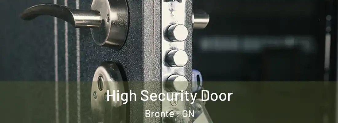  High Security Door Bronte - ON