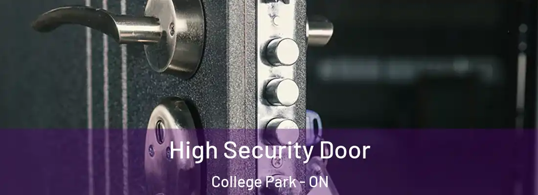  High Security Door College Park - ON