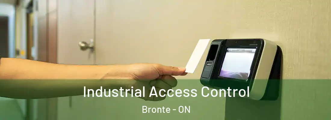  Industrial Access Control Bronte - ON