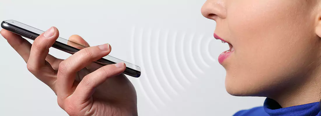 Residential and Commercial Voice Recognition Access Solutions in Oakville, ON