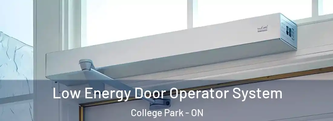  Low Energy Door Operator System College Park - ON