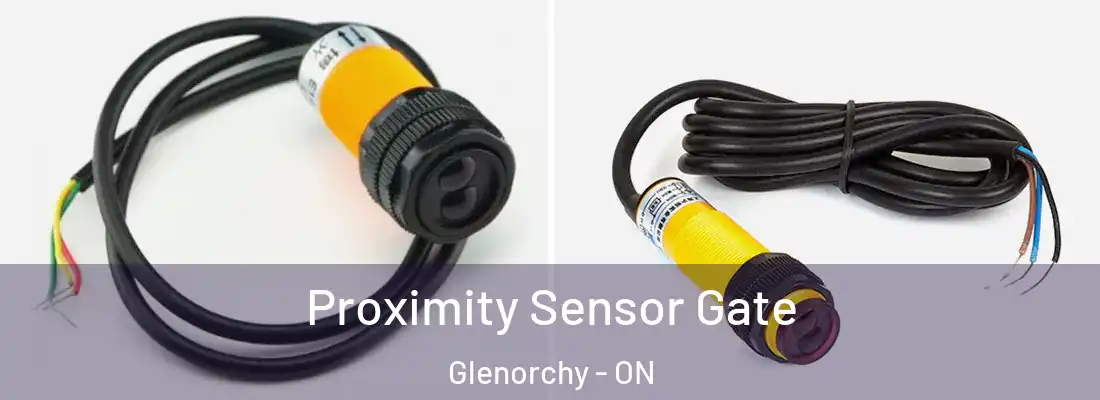  Proximity Sensor Gate Glenorchy - ON